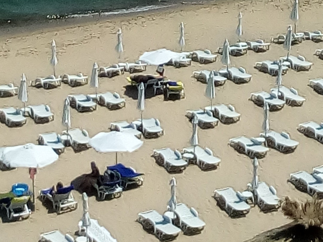 Sentido Marea Hotel主图