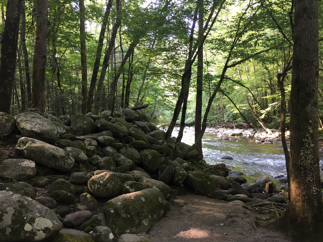Sugarlands Valley Nature Trail-大雾山国家公园必去景点
