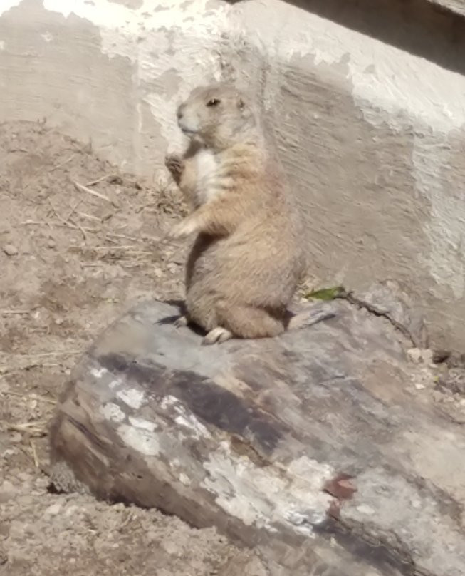 Ochsner Park Zoo-巴拉布必去景点