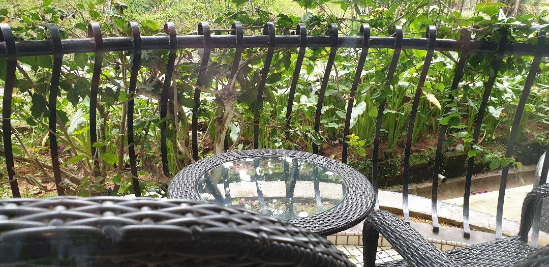 草莓园度假酒店主图