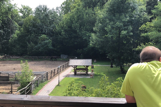 Forster Vadászkastély Szálloda主图