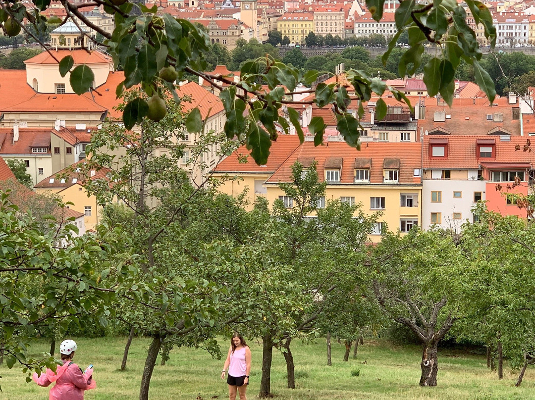 Ebike Prague-布拉格必去景点