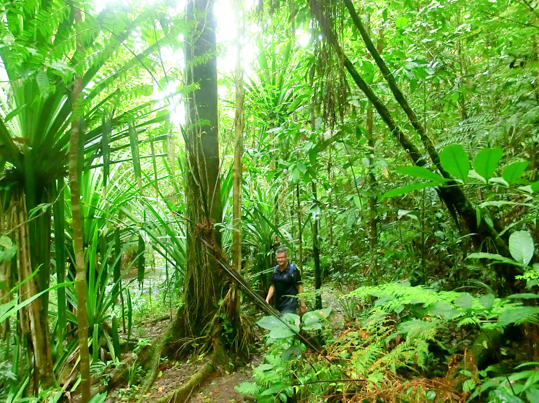 Kay Services Tour-Nausori必去景点