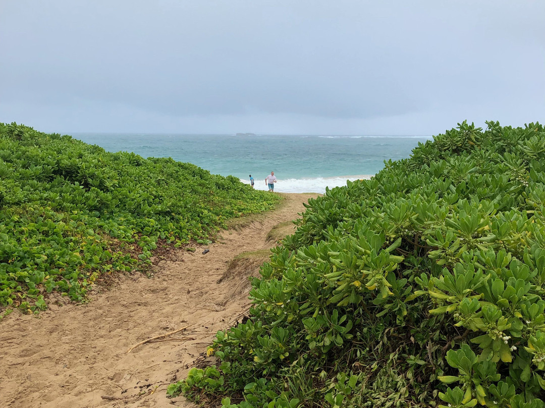 Hukilau Beach-拉叶必去景点