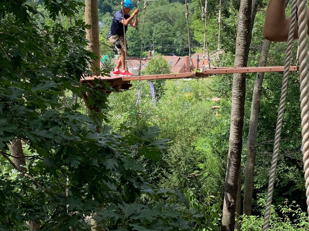 Essex County Treetop Adventure Course景点图片