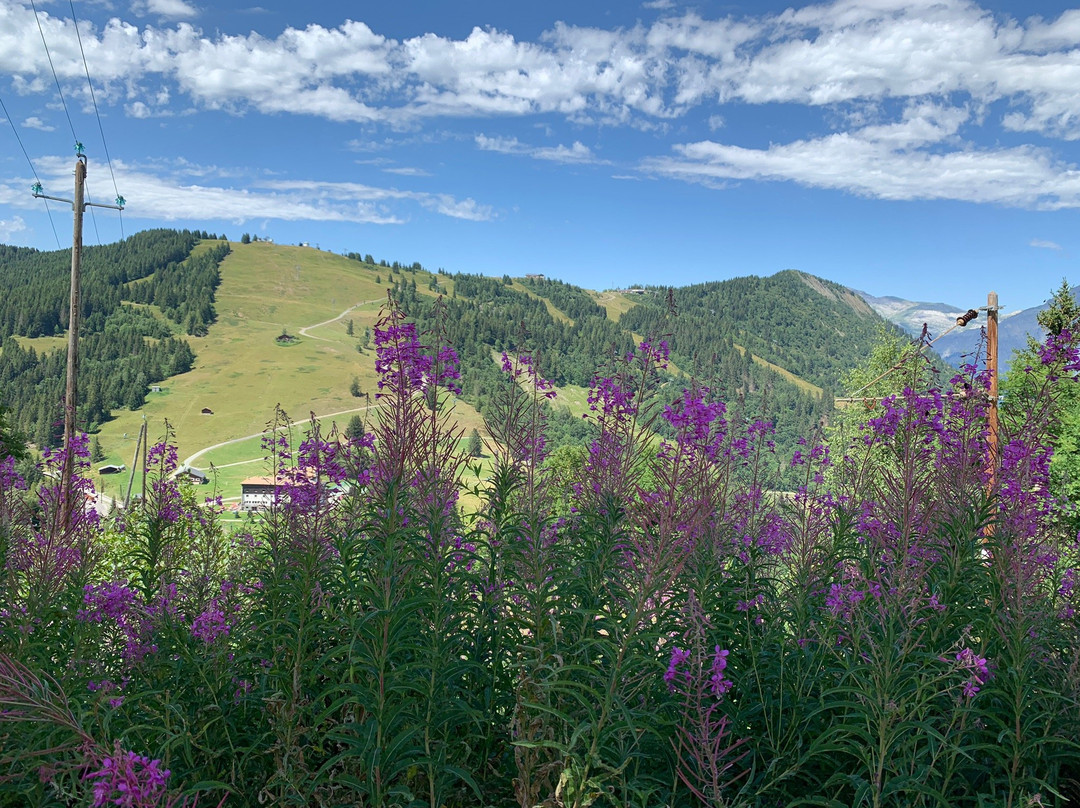 Grand Balcon Nord: Bellevue-Prarion-莱苏什必去景点