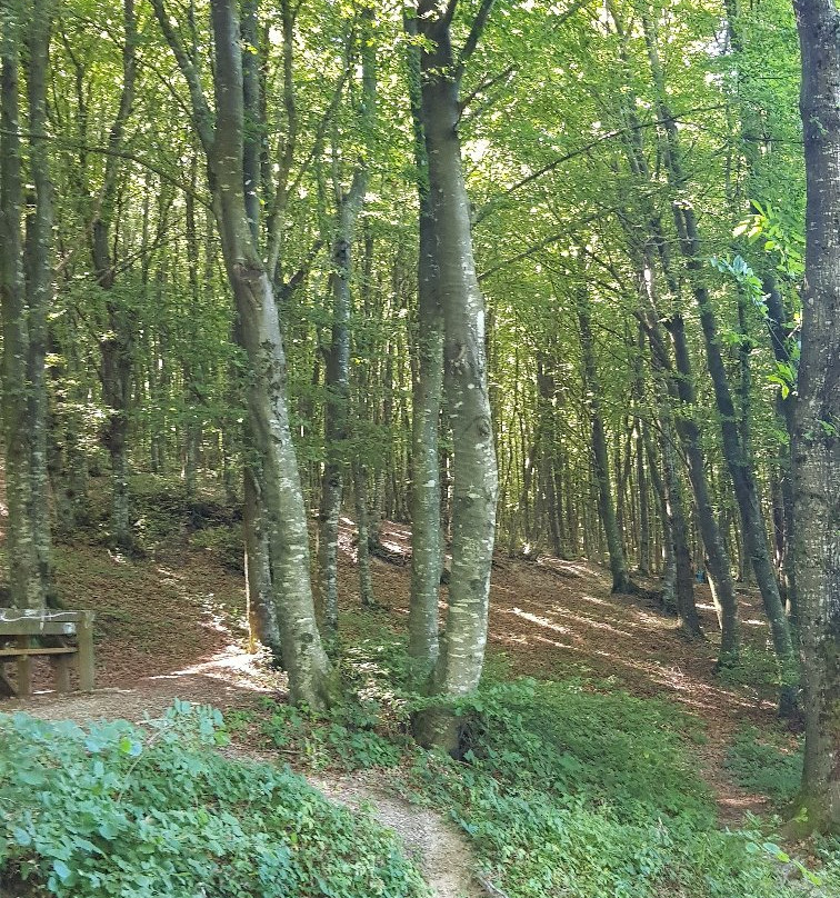 Eremo di Serrasanta景点图片