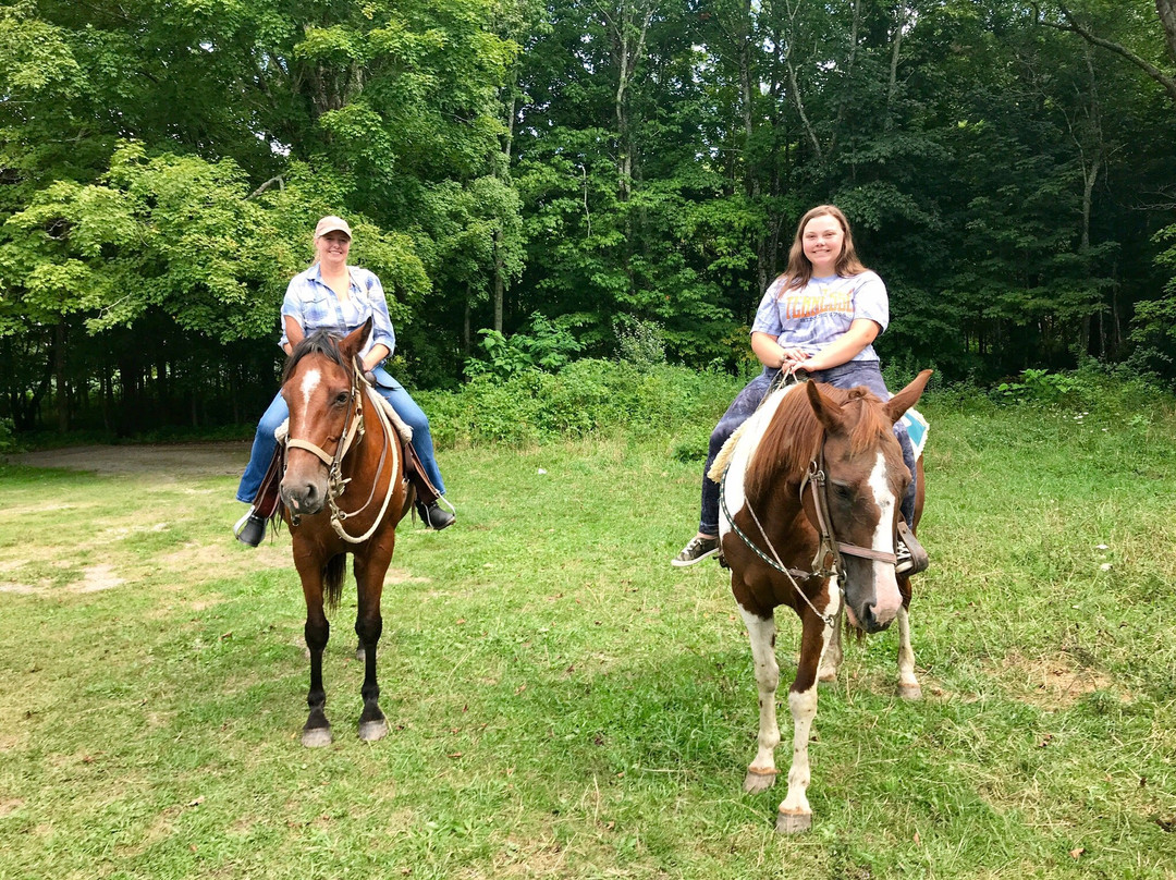 Appalachian Horseback Riding Adventures-Troutdale必去景点