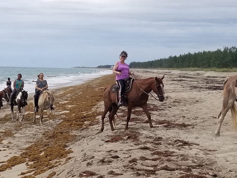 Frederick Douglass Memorial Park-匹尔斯堡必去景点