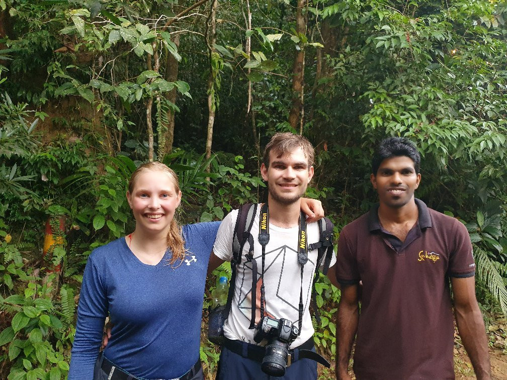 Explore Sinharaja Rain Forest Tour-Deniyaya必去景点