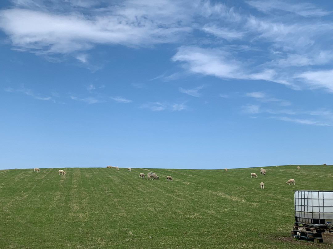 RSPB Troup Head Nature Reserve-Macduff必去景点