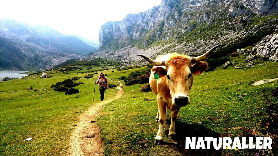 Naturaller-奥维耶多必去景点