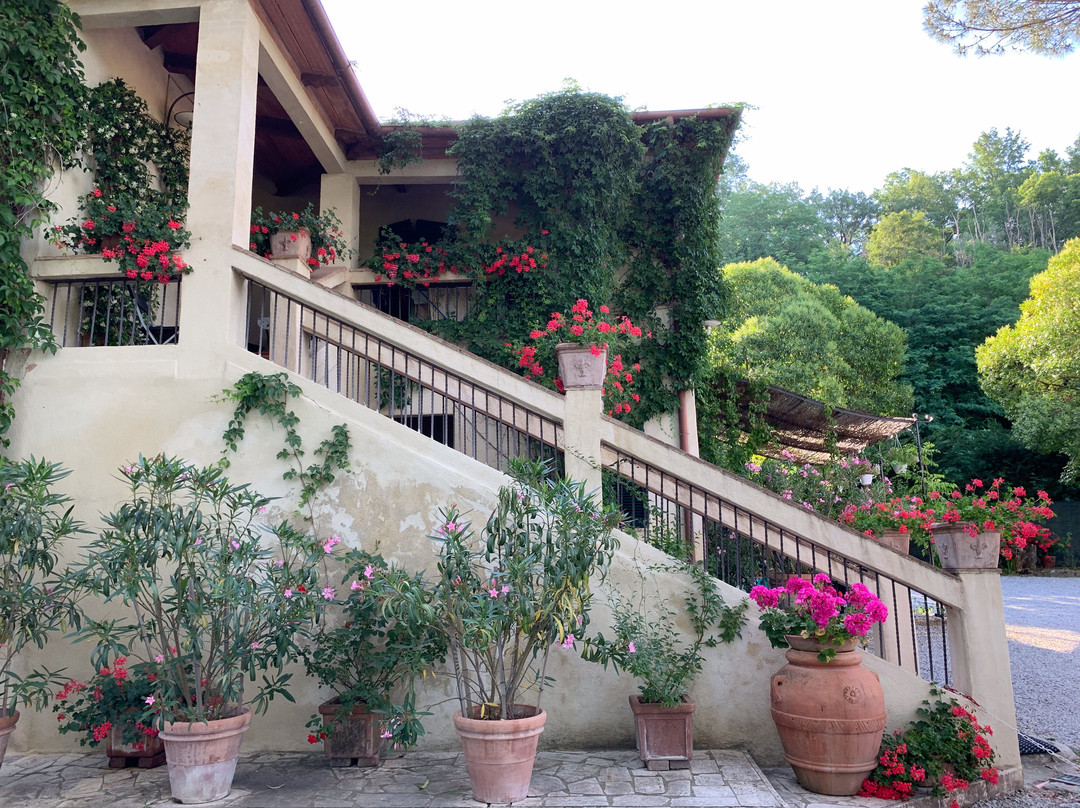 Agriturismo Paradiso主图