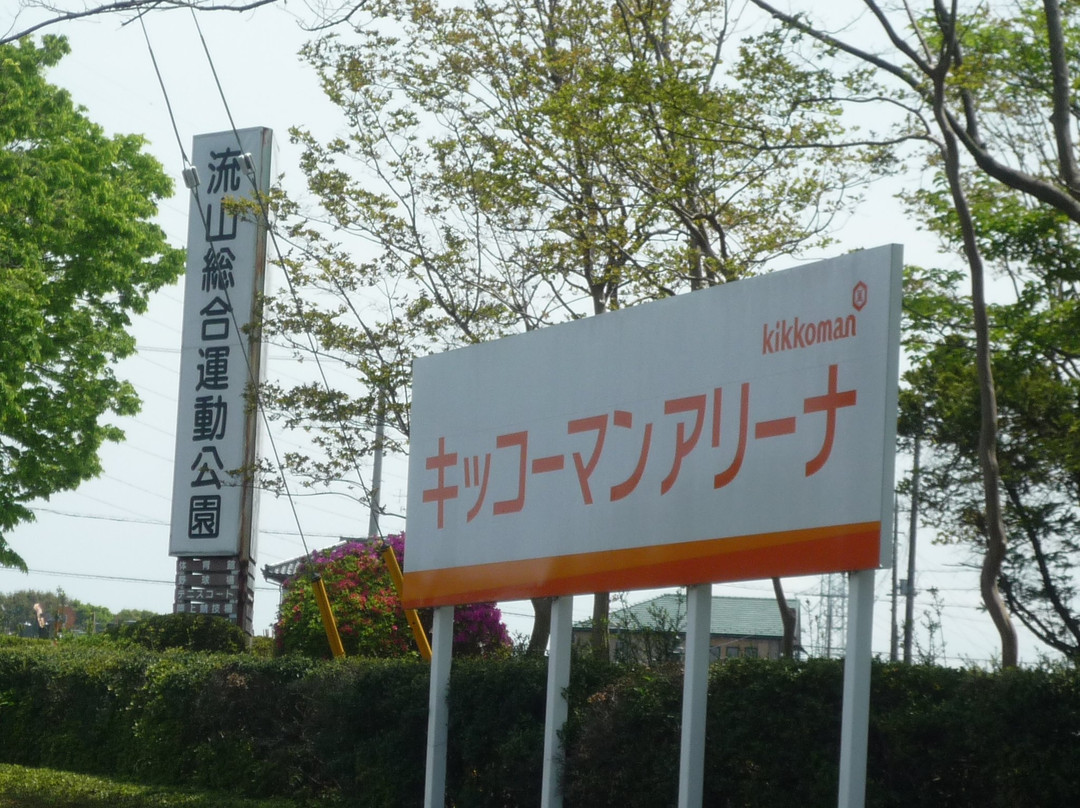 Nagareyama City Sports Park-流山市必去景点