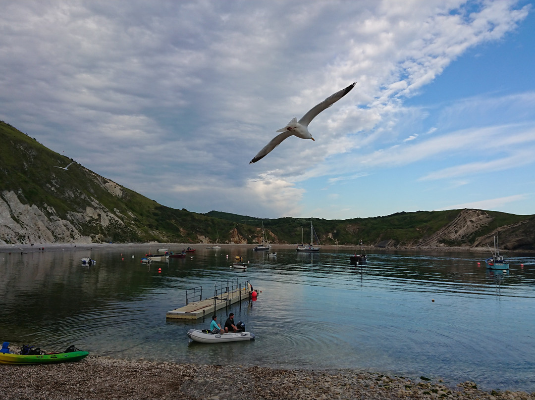 Lulworth Lodge主图
