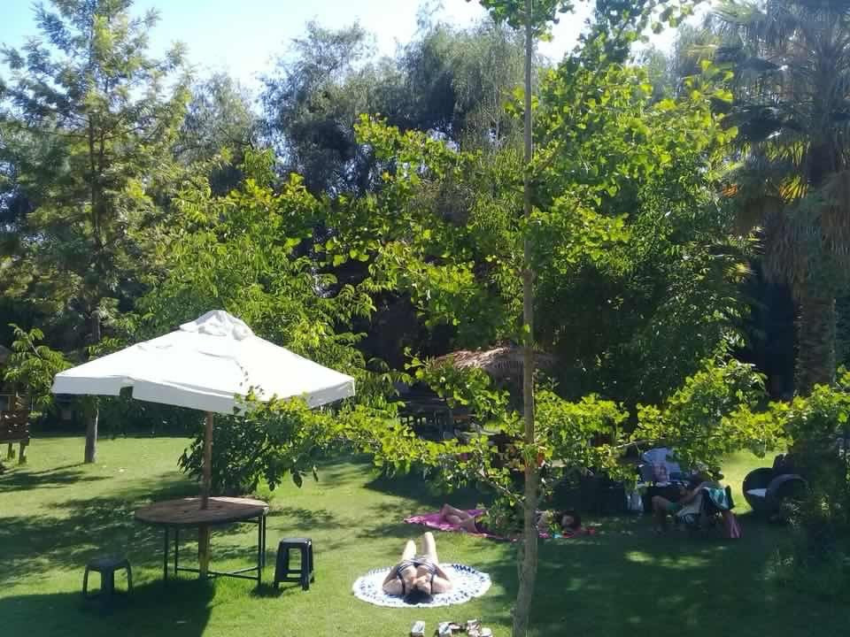 Ruta del Vino - Vinos y Tours-圣克鲁斯必去景点