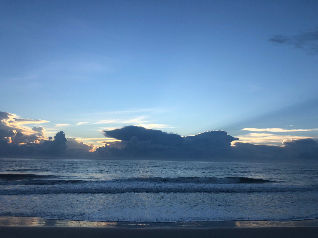 Jungle Hut Park-棕榈海岸必去景点