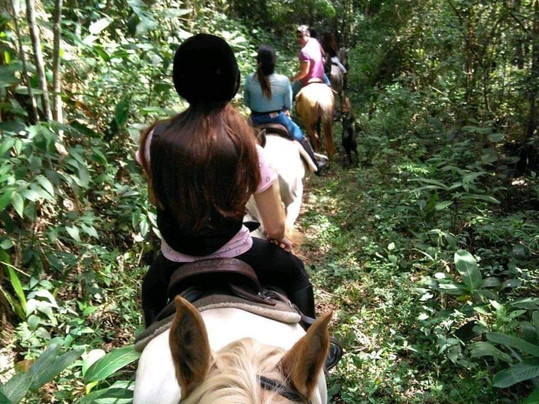 Haras Terra Nova Jundiaí-容迪亚伊必去景点