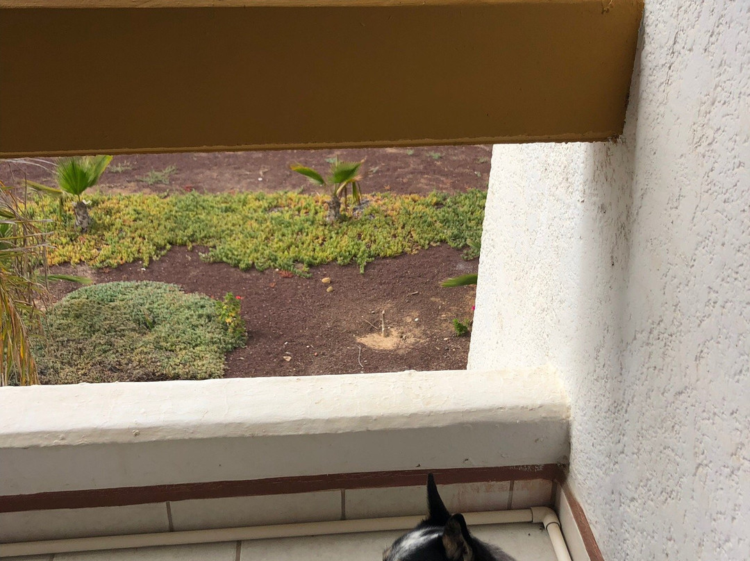 Hotel Mision Santa Maria主图