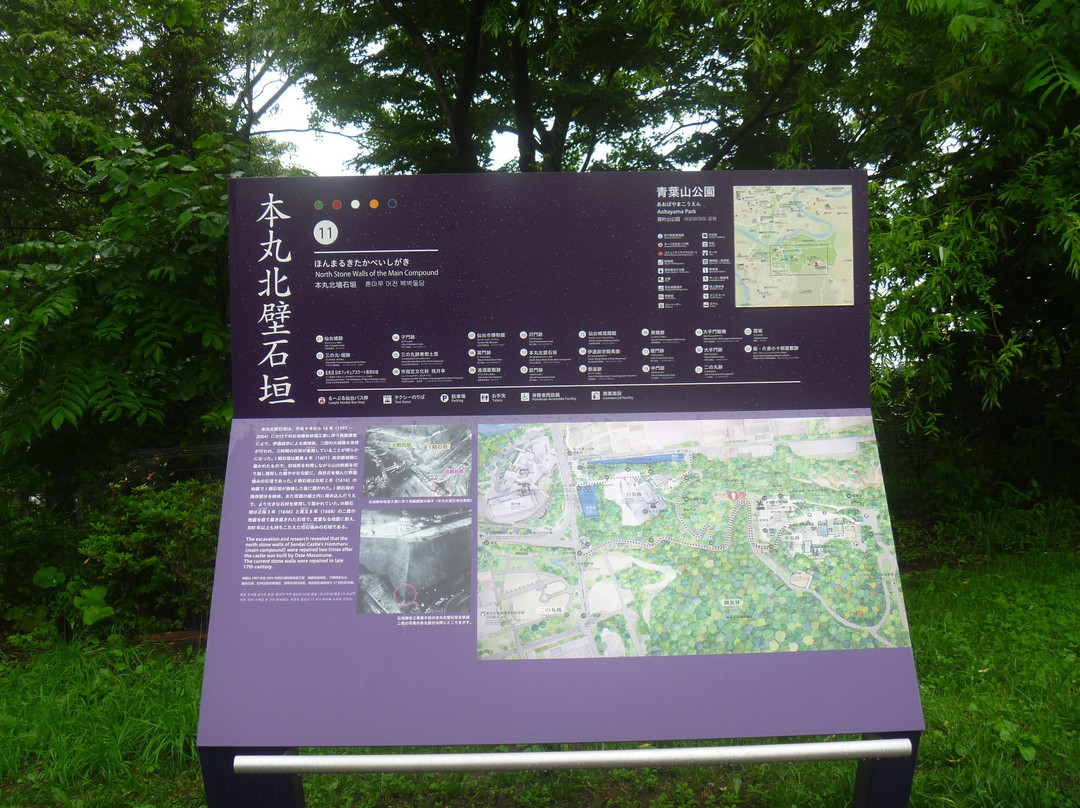 Aobayama Park景点图片