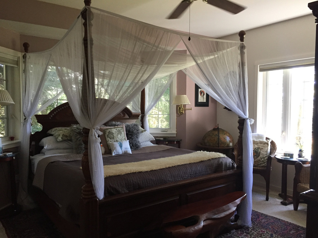 Inn to the Woods主图