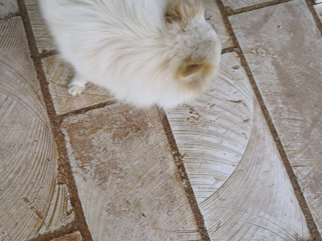 Masseria Asciano主图