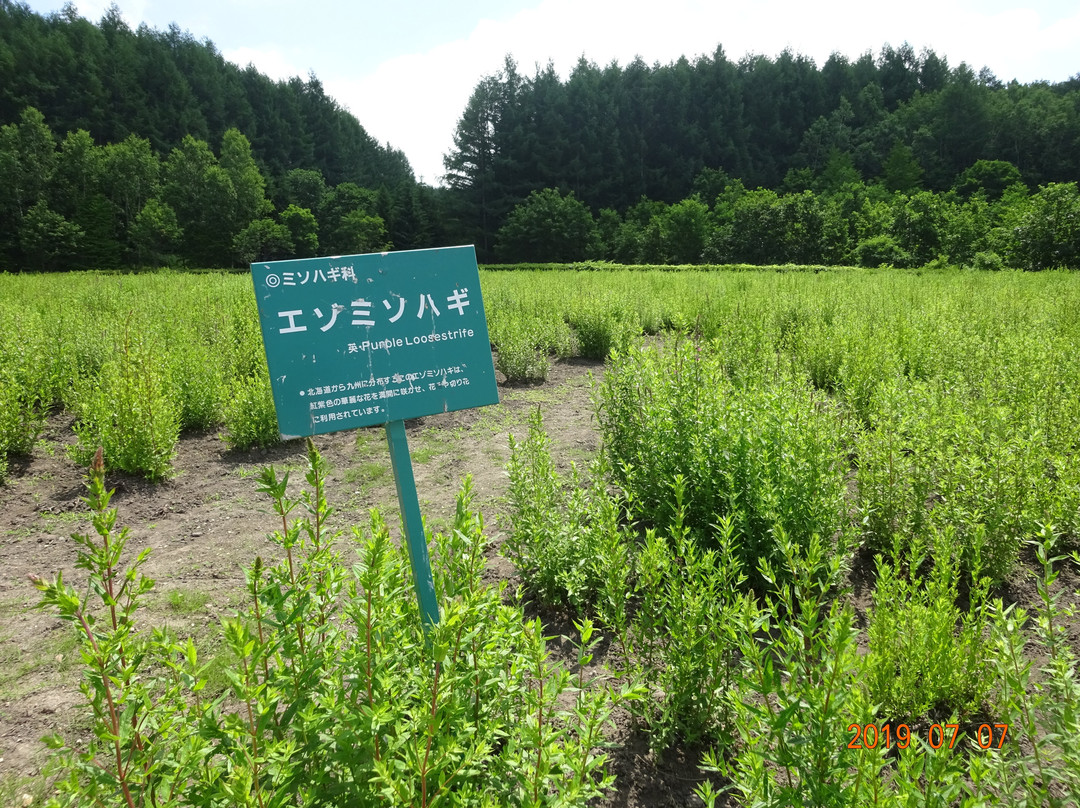 Nikoro Hakka Park and Hakka Goten-北见市必去景点