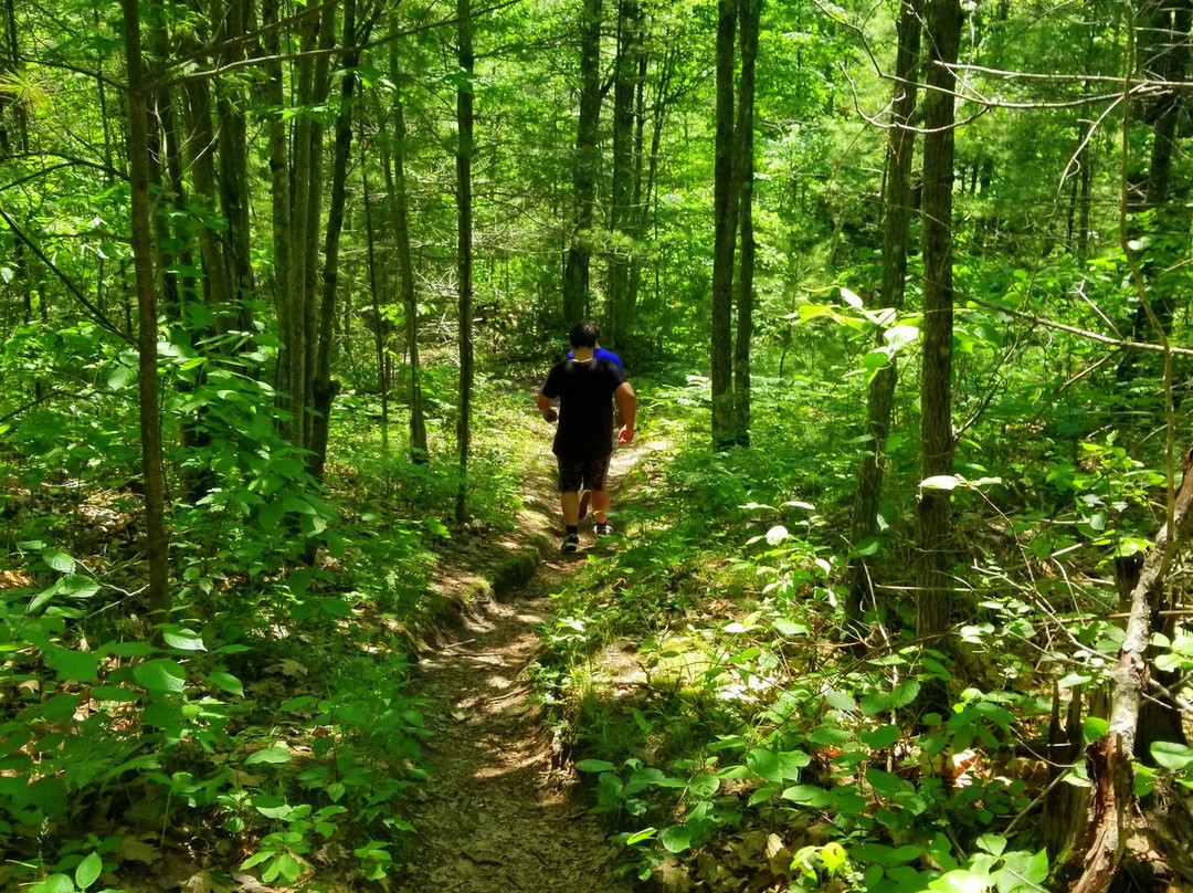 Smalley Falls-Pembine必去景点