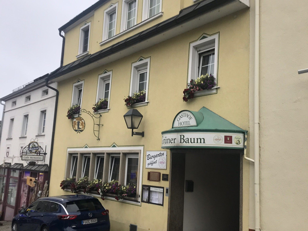 Gruener Baum Hotel & Gasthof主图