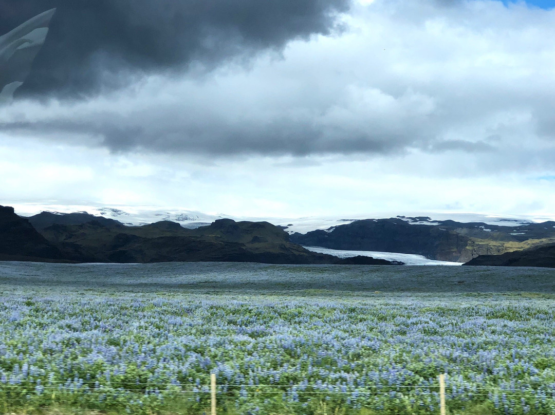 Colors of Iceland DMC-哈夫纳夫约杜尔必去景点