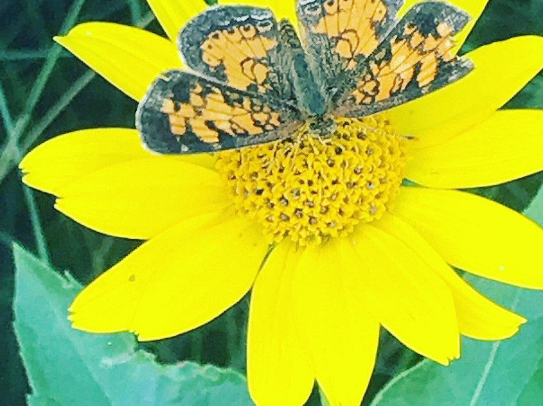 Sandilands Forest Discovery Centre-Hadashville必去景点