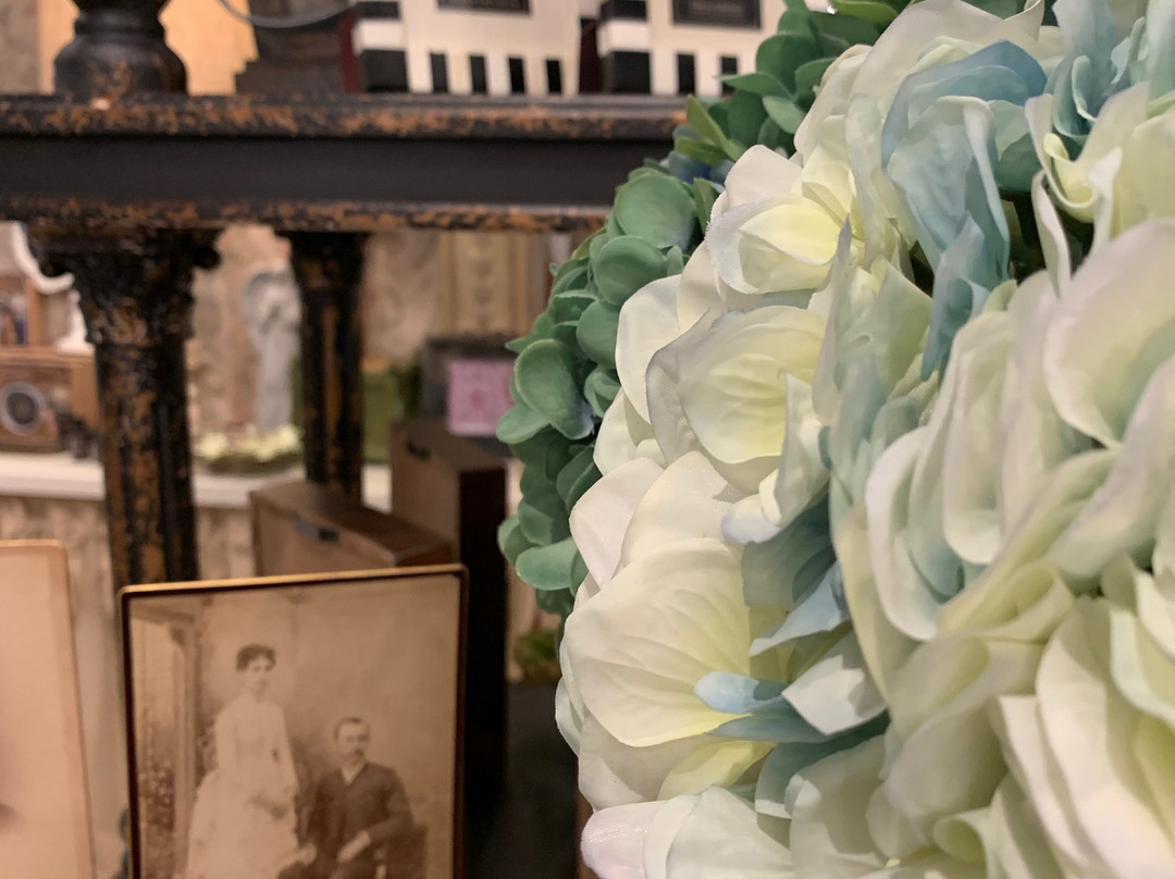 The Black Swan-Mount Dora必去景点