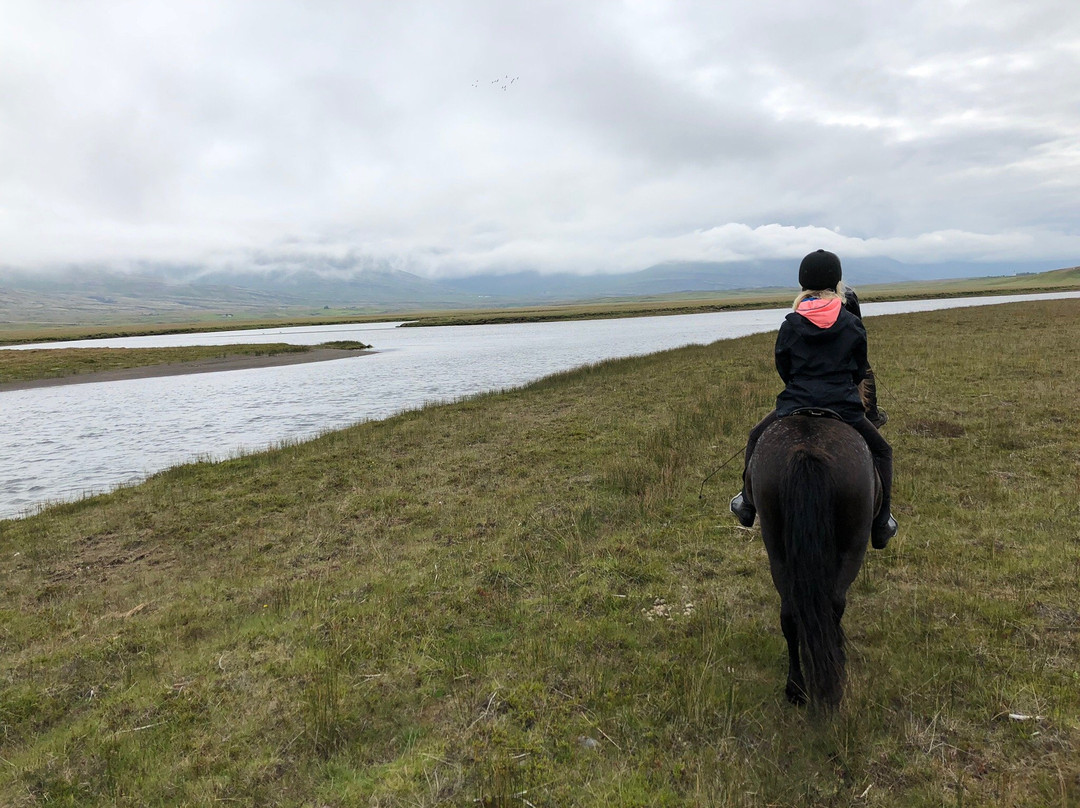 Fell Horse Rental-Breiddalsvik必去景点