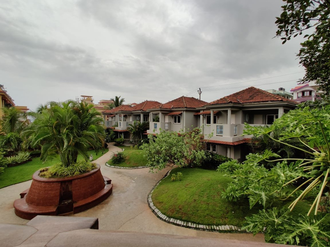 Vedatmana Boa Ventura主图