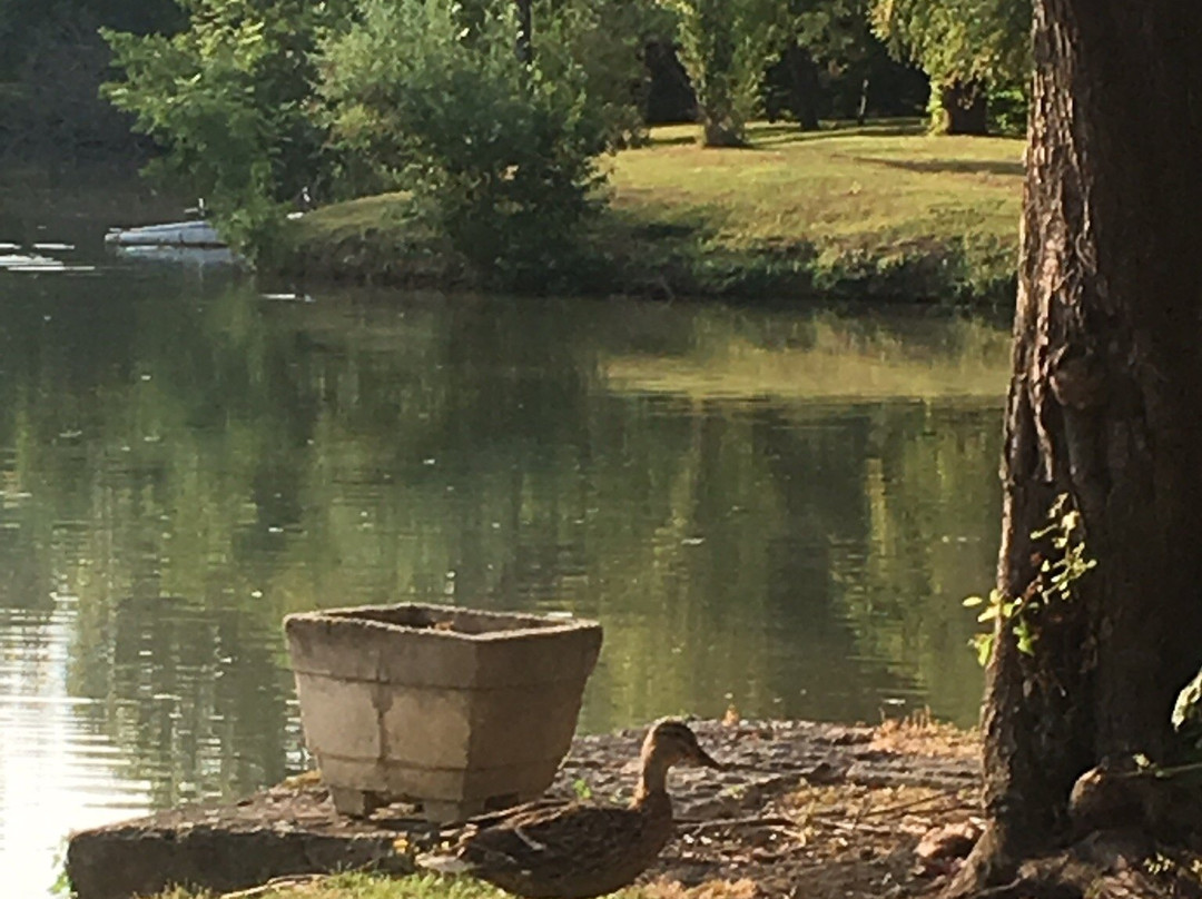 L'Etang des Reynats主图