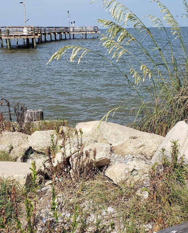 Cedar Point Pier-Coden必去景点