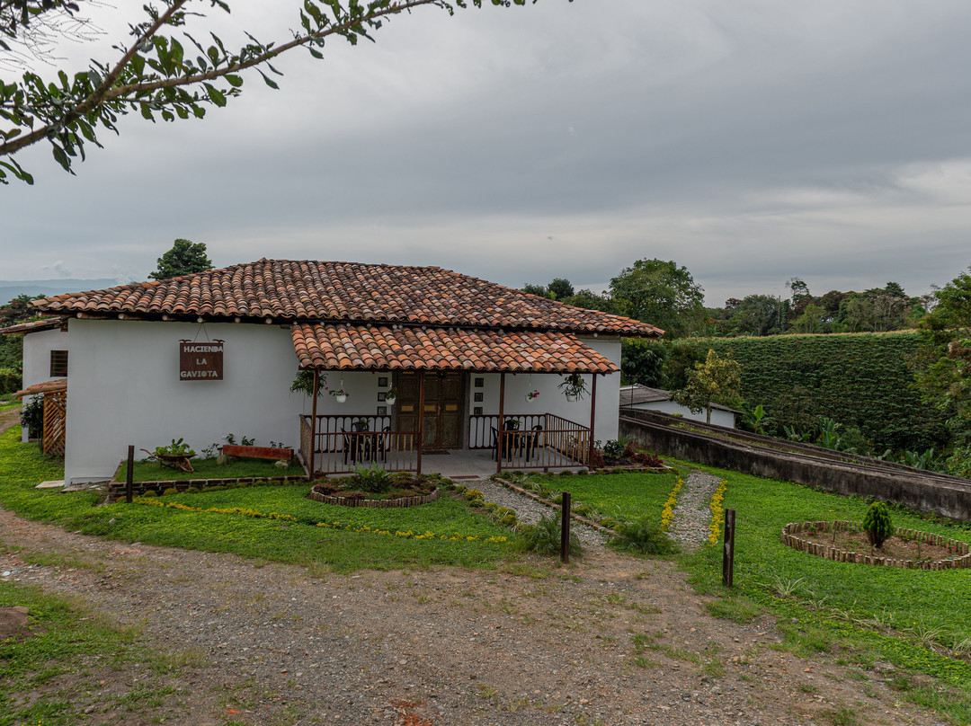 Hacienda La Gaviota景点图片