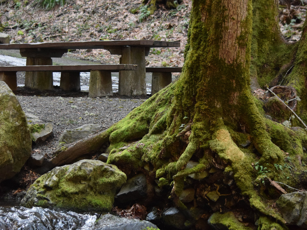 Starvation Creek State Park-Cascade Locks必去景点