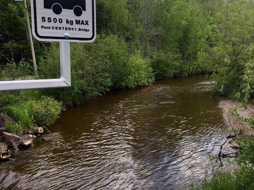 Centennial Park-蒙古顿必去景点