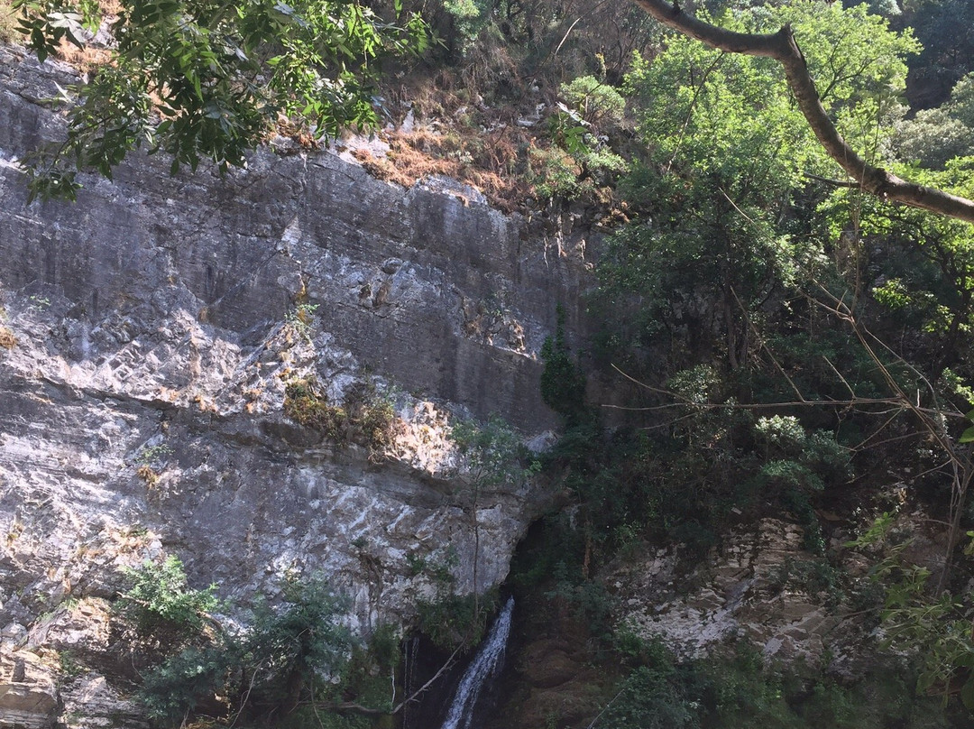 Source du Fréjo景点图片