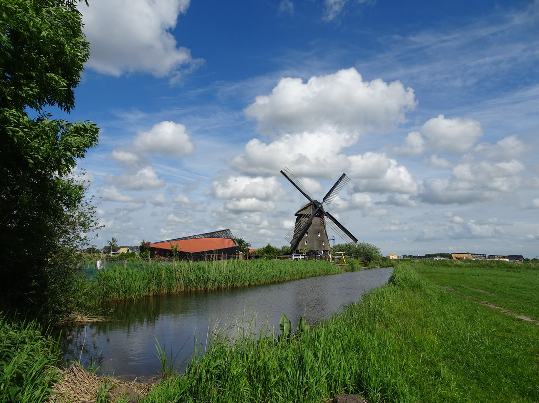 Twuyvermolen Molen A景点图片