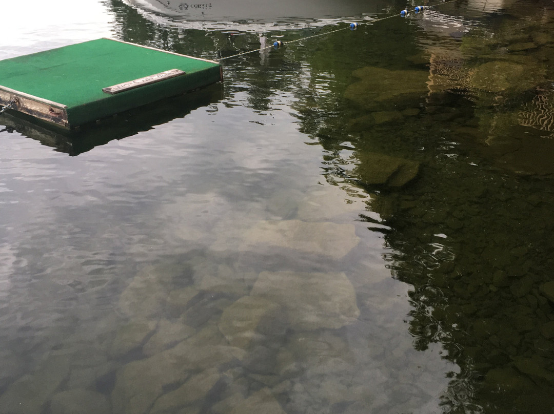 The Lodges At Bolton Landing主图