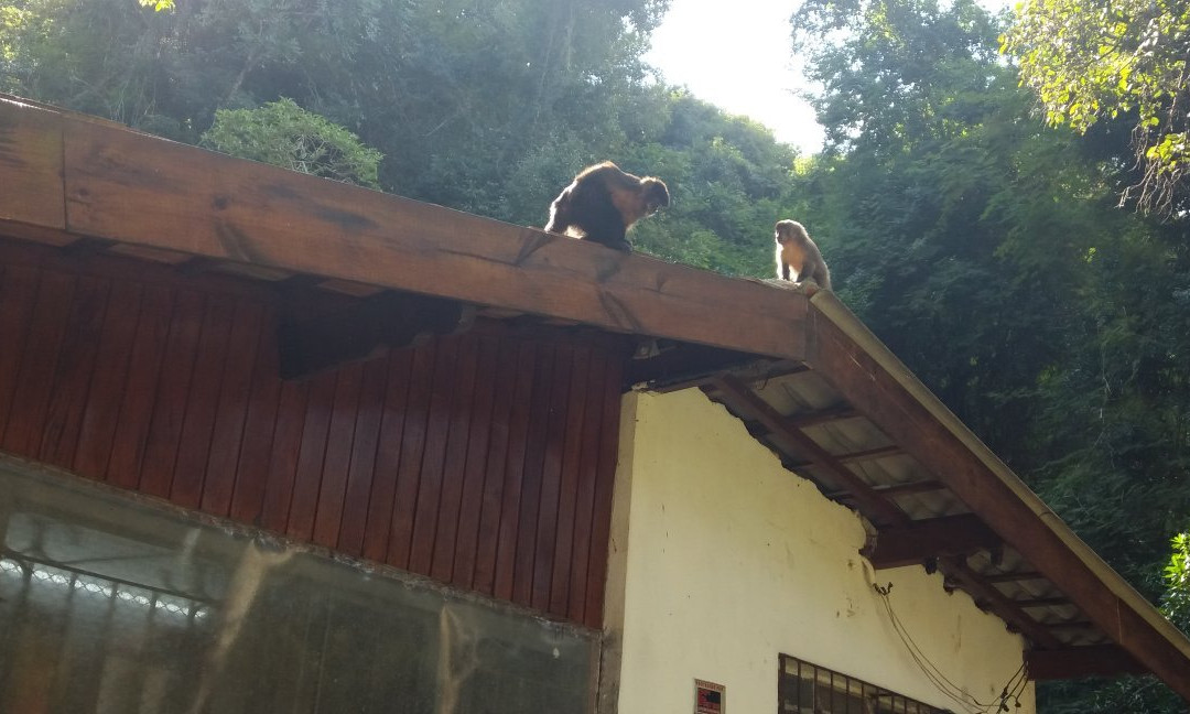 Fonte dos Desejos-Pocos de Caldas必去景点