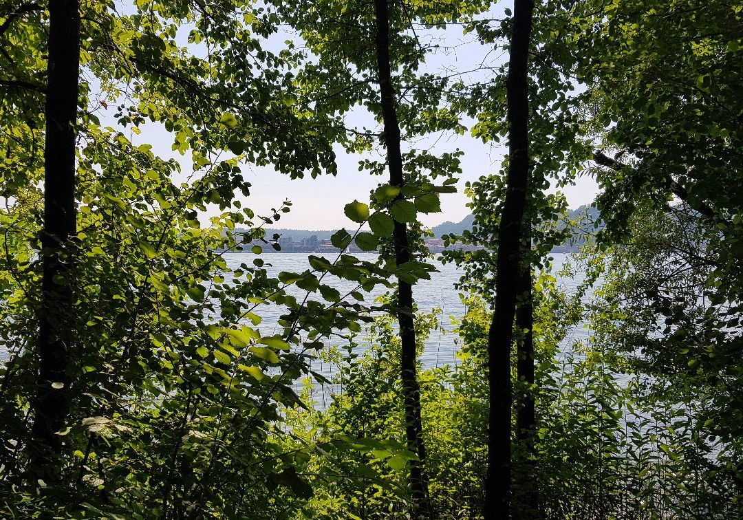 Oasi della Bruschera-Angera必去景点