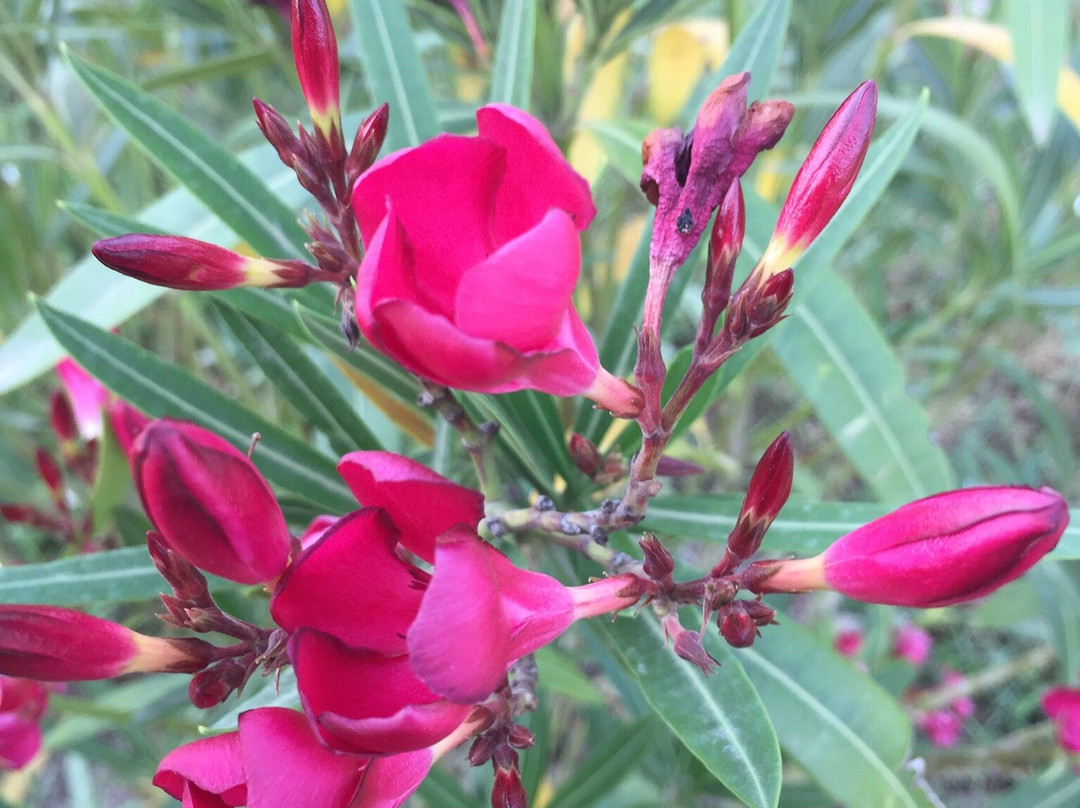 La Clé d'Ailleurs主图