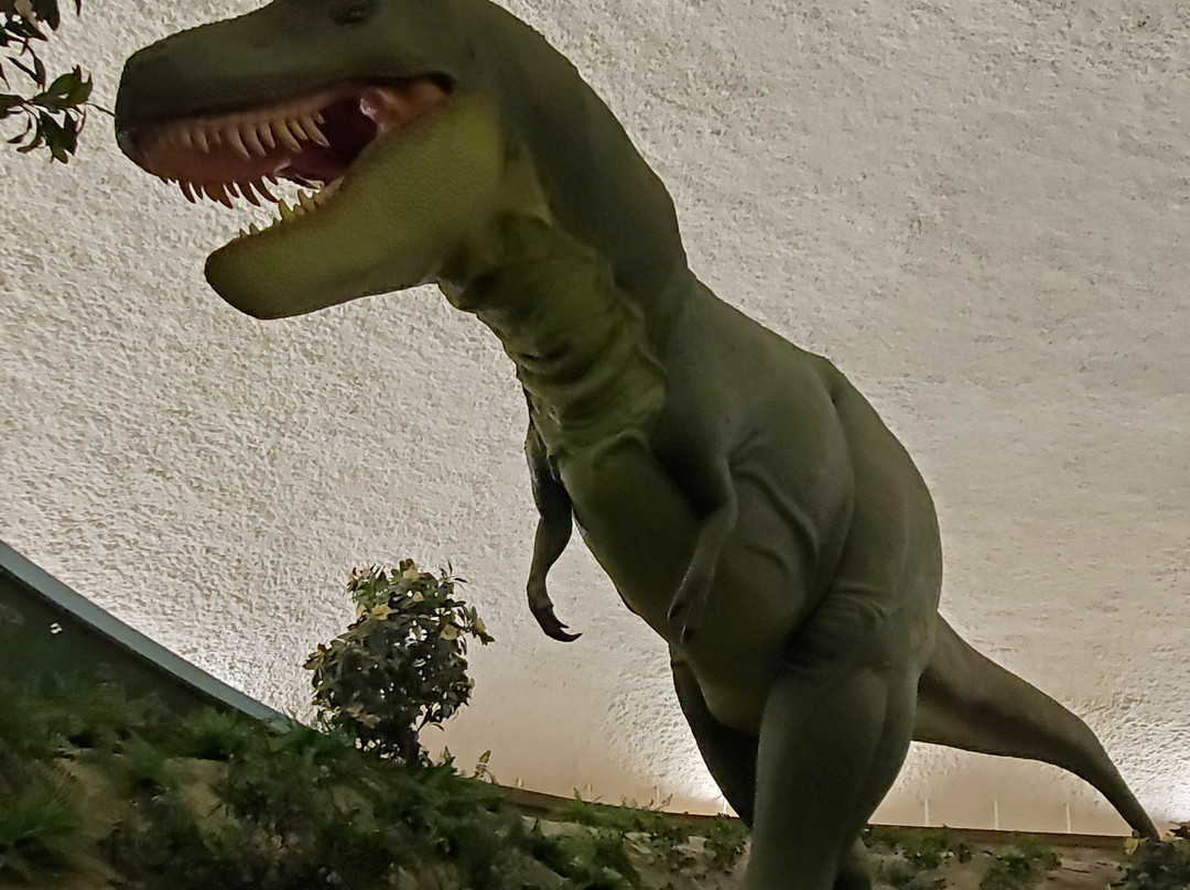 Sternberg Museum of Natural History-Hays必去景点