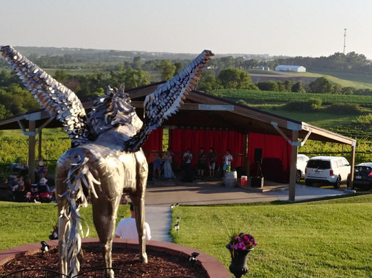 Soaring Wings Vineyard-Springfield必去景点