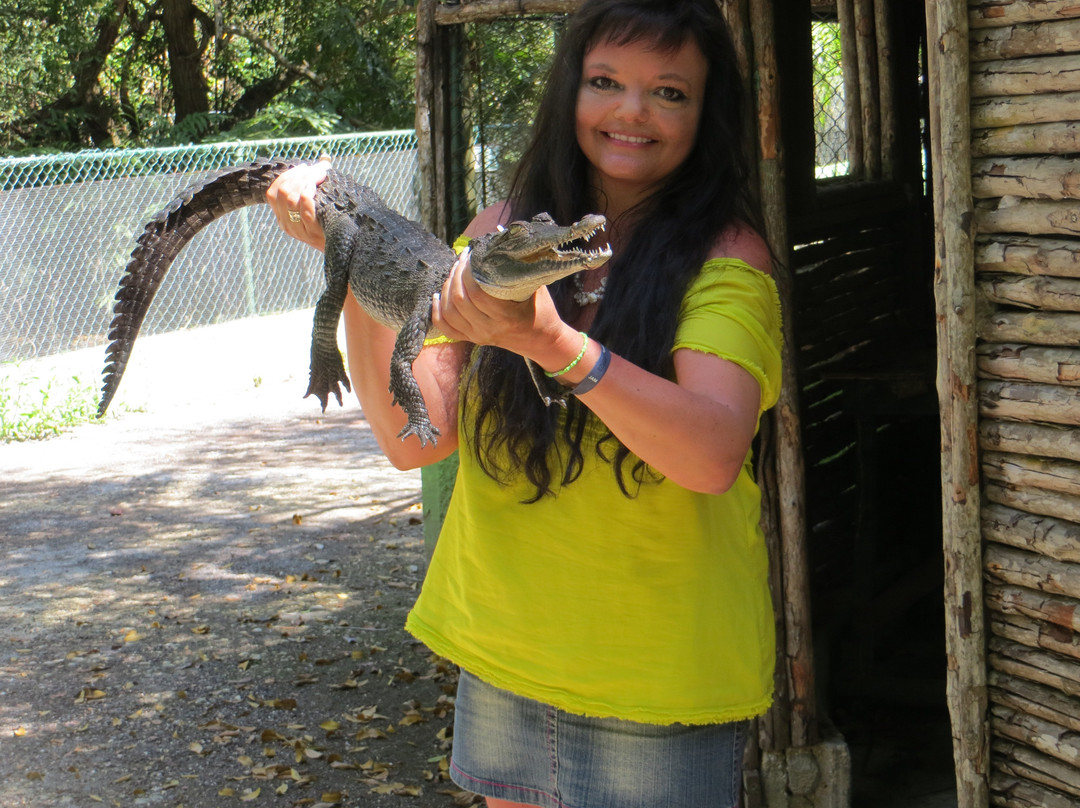 Jamaica Swamp Safari Village-法尔茅斯必去景点