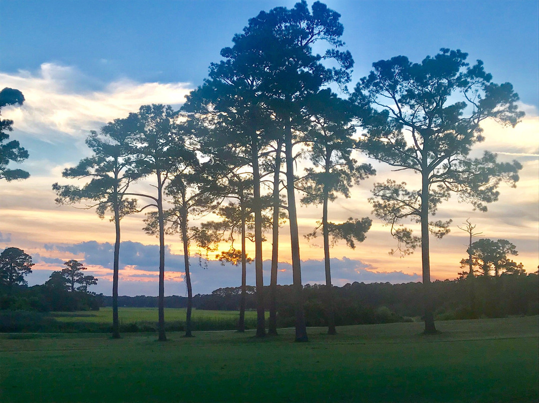 Oyster Bay Golf Links景点图片