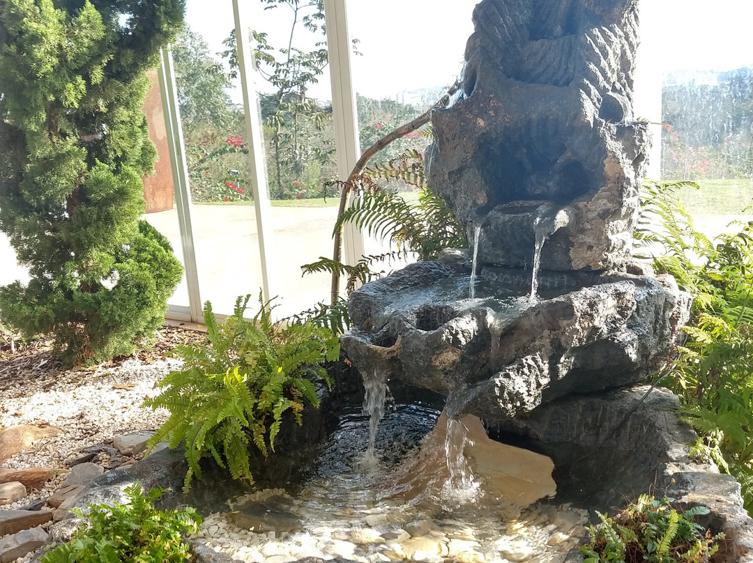 Jardim Botanico Irmaos Vilas Boas-索罗卡巴必去景点